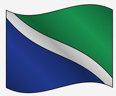 Bandera del Colegio