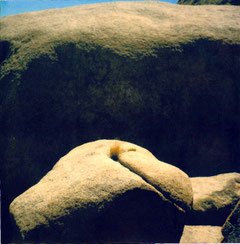 Joshua Tree rock