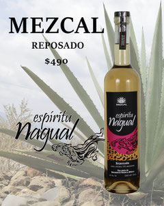 Página web de mezcalespiritunagual