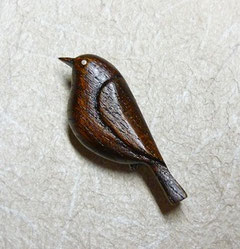 メジロケヤキ