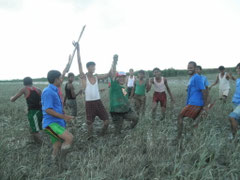 Mangrove reforestation with Japanese friends