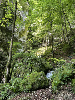 Durch die spektakuläre Wolfsschlucht