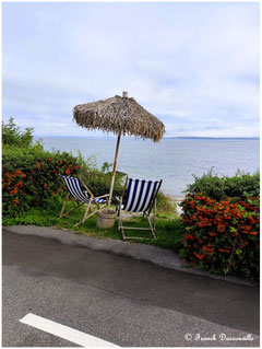photo Franck Dassonville
