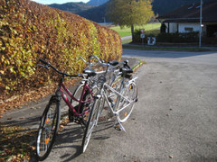 Unser Fahrradpark.....