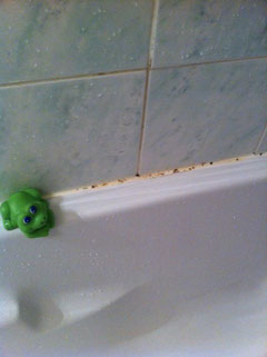 Moisissure sur le joint de la baignoire