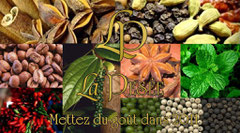 Carte de Voeux 2011