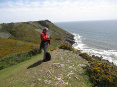 Wanderung bei Southgate