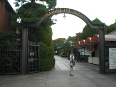 IVY SQUARE 入り口