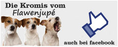 Kromfohrländer vom Flawenjupé