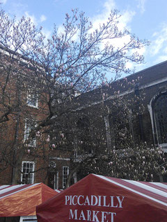 Frühling in London