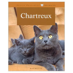 Chartreux