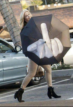 Stinkefinger Regenschirm