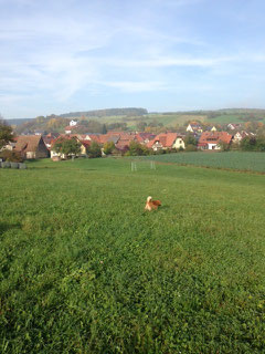 das ist unser Dorf um uns herum