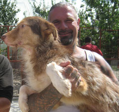 Erste Ausstrahlung Harte Hunde Tierretter In Rumänien