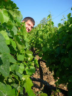 Fabien