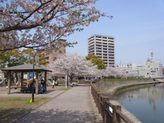 賃貸マンション周辺の公園風景