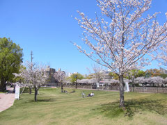 賃貸マンション周辺の公園