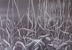 huile sur bois 29 x 41,5