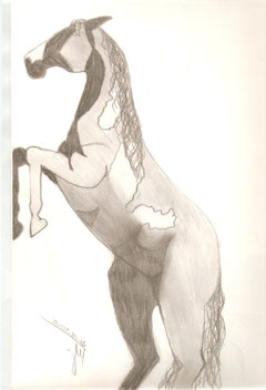 Steigender Pinto