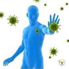 lunettes psio programme therapeutia systeme immunitaire  de yves wautier p