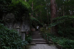kyosuketerada