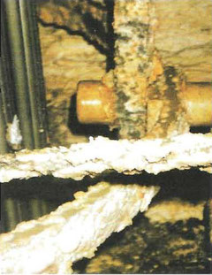 Bild 5: Lecker, lecker, was sich so alles in einem Speicher ansammeln kann. Foto: Schmid Energiesysterne, Waldstetten