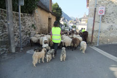 Ralentissement sur la 1 fois 1 voie à Bedous