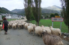 Lées, village niché sur la rive gauche du Vallon