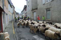 L'arrière-garde juste avant la Place Saint-Pierre