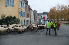 La place Saint-Pierre est aussi une étape pour les Pèlerins de Compostelle vers le Somport.