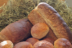 diversiteit aan brood