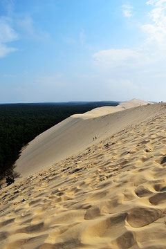 Dune du pilat avec vue sur les forets