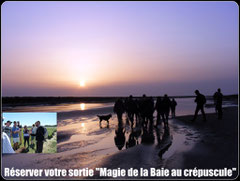 Traversée de la Baie de somme©Découvrons la Baie de Somme