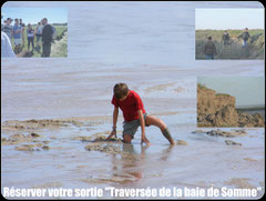 réservation traversée de la baie de somme avec un guide nature