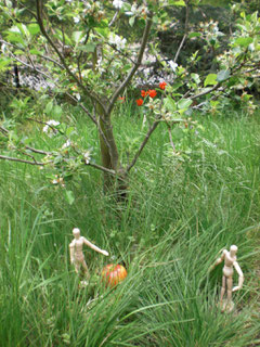 Adan und Eva mit Apfel uneterm Apfelbaum