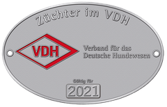 Verband für das Deutsche Hundewesen