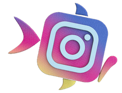 Bezoek ons op Instagram