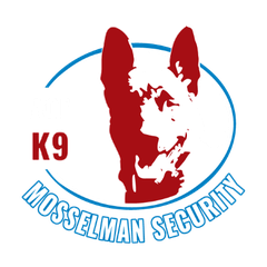 Afbeelding zonder ALT