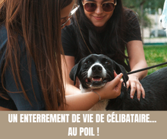 _Un enterrement de vie de célibataire… au poil ! - Magazine Un Jour Un Oui - Crédit photo  Tous droits réservés