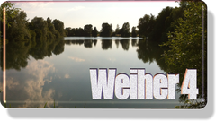 (Nur aktive Vereinsmitglieder)