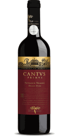 Vitis Metamorfosis CANTVS PRIMVS Feteasca Neagra   | Schwarze Mädchentraube 2020