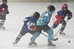 Hockey sur glace