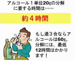 飲酒運転　アルコール分解時間　適正飲酒　交通安全　事故防止　安全運転管理　運行管理　教育資料　ドライバー教育　運転管理