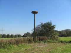 bezugsfertiges Storchennest