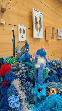 Kunstvoll gehäkelte Korallen sensibilisieren für den Schutz der Korallenriffe - Foto: S. Schwab