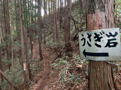 登山道には案内板があるので迷うことはない