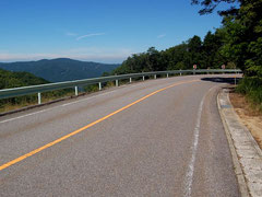 路面も比較的きれいな茶臼山高原道路