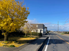 県道133を道なりに西進して行く
