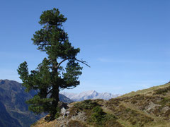 Inntaler Höhenweg - Lizum im Wattental