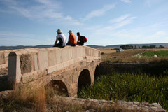 Puente de Mesegoso - Camino Santiago Soria